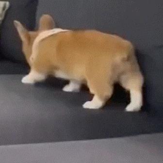 趁乱搞突袭？对方拍了拍你，并且撤回了一个直男