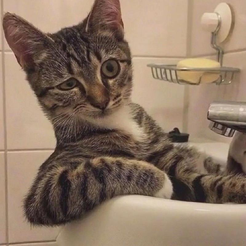 为了充上电，美国人玩起了“车体蜈蚣”。。。