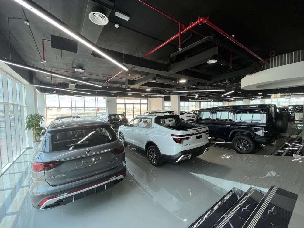 中国新能源车企，加速杀入中东