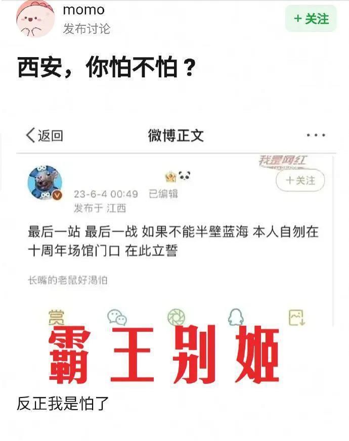 看不懂帝国战争，但大为震撼