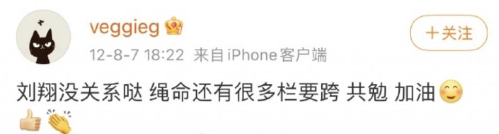 54岁的王菲：恋爱中，已退休