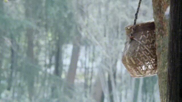 离了5年，还是如此一言难尽…