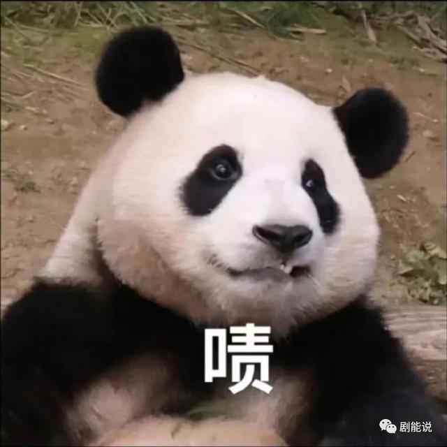 粉丝这么多，怎么也敢惹？