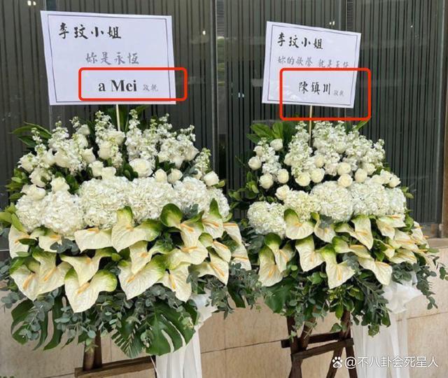 张惠妹在北京演唱会上哭着说很荣幸，网友质疑：洗白了？