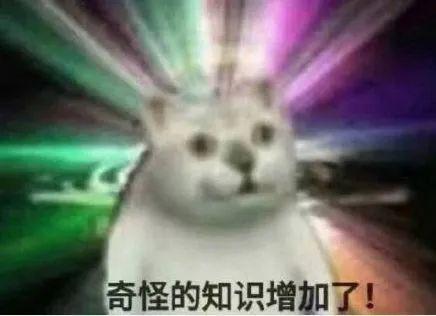 离谱！新晋顶流私下玩得这么花？