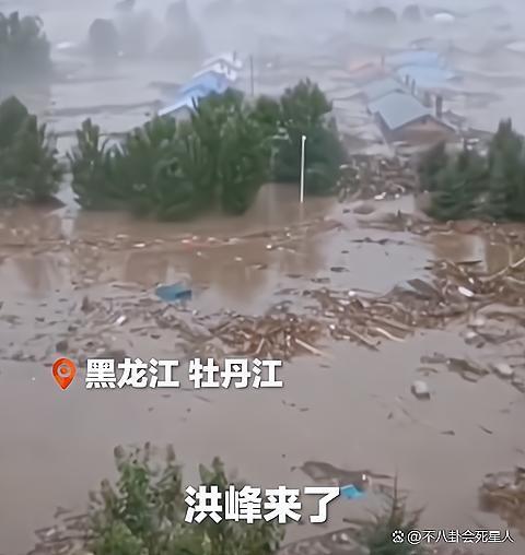 众星驰援黑龙江：贾乃亮捐米饭，周深、魏大勋等反应迅速