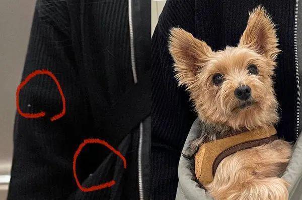 人气男团成员绯闻又增实锤证据？谈了三年还这么甜？