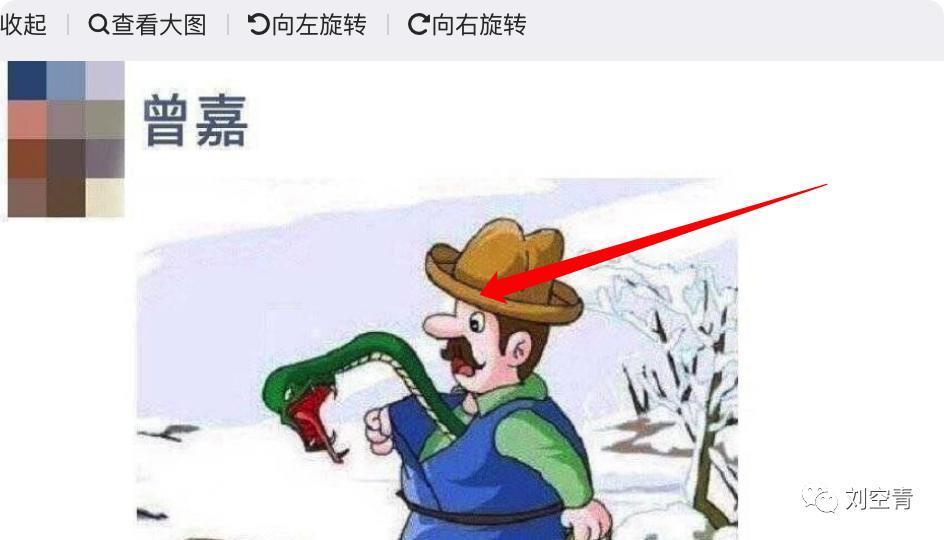 这个新瓜，我真的震惊了……