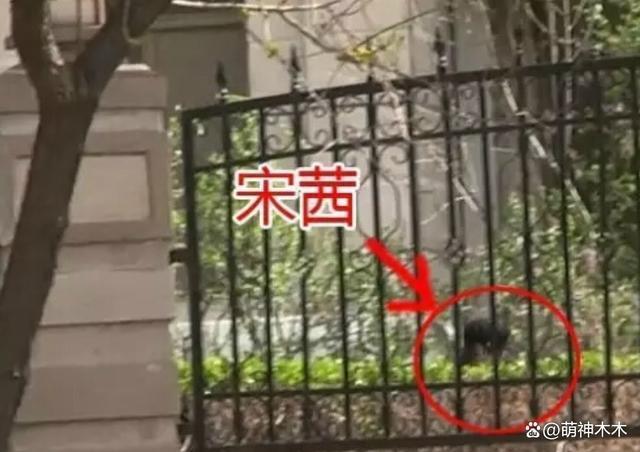 杨洋每次拍戏都传绯闻,王楚然连续三天同住,被质疑在盯岗