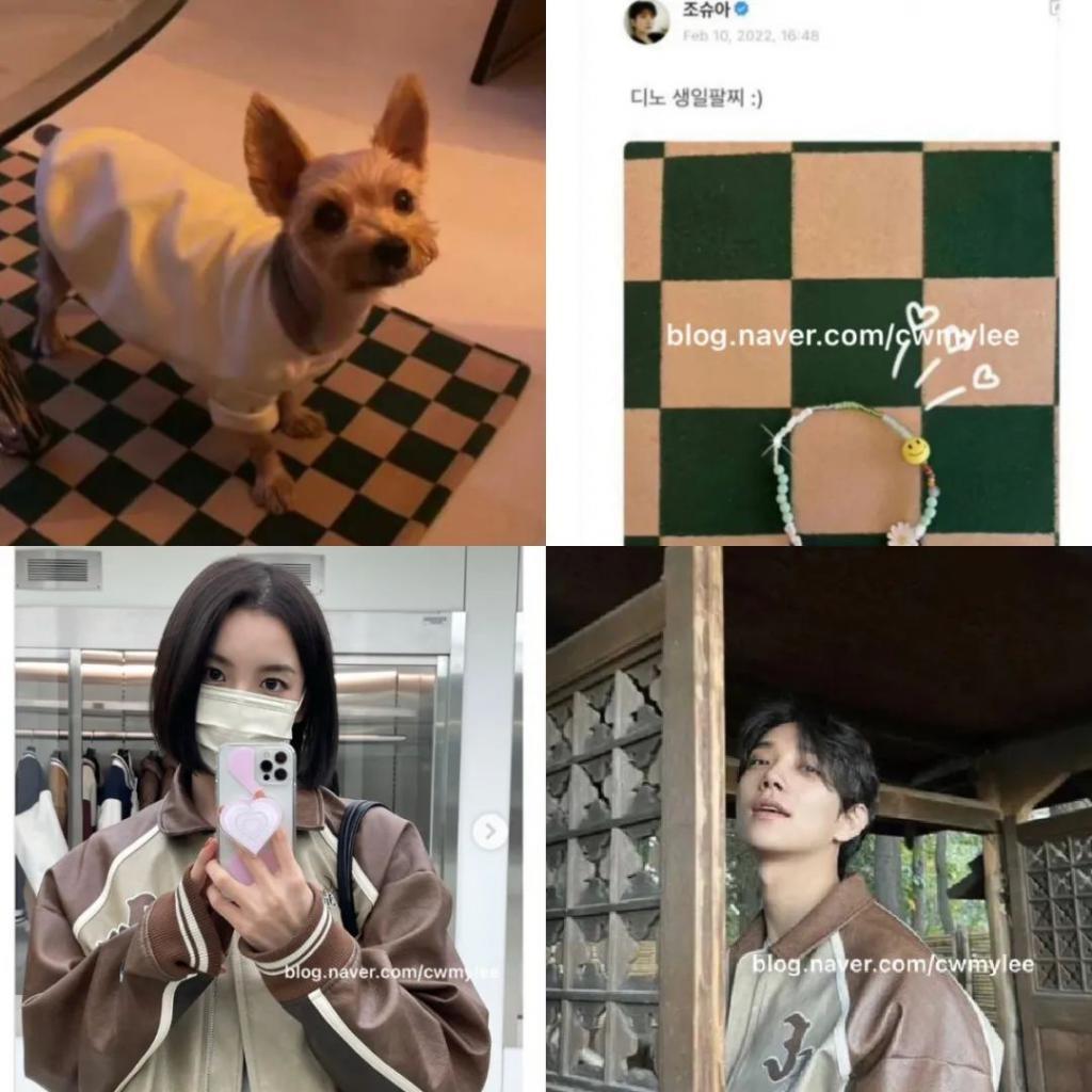 top男团成员和网红恋爱同居已3年？恨不得秀到粉丝脸上