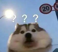 28岁女博士研究长生不老药，融资5800万美金为了救狗命