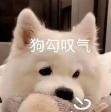 28岁女博士研究长生不老药，融资5800万美金为了救狗命