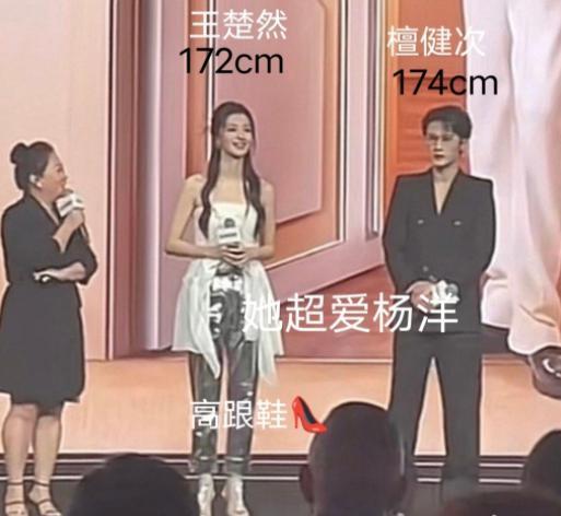 三个“待爆帝”的吸粉套路