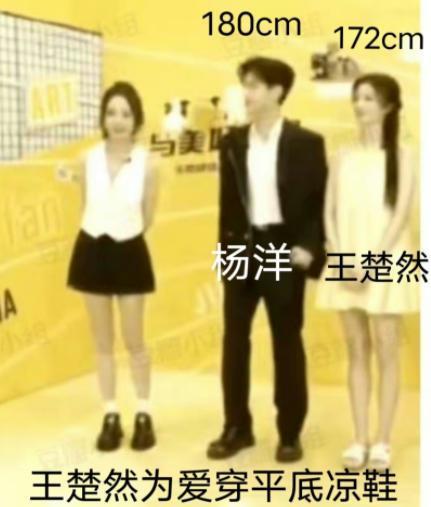 三个“待爆帝”的吸粉套路