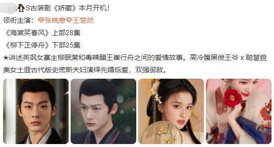 三个“待爆帝”的吸粉套路