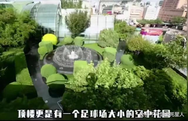 晴格格王艳带货引争议，嫁入豪门却走刘涛老路,真的值得吗