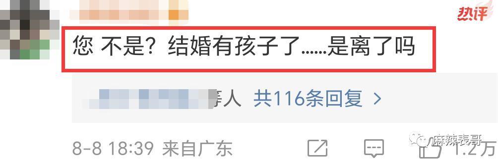 “糊咖出大瓜”的定律又验证了…