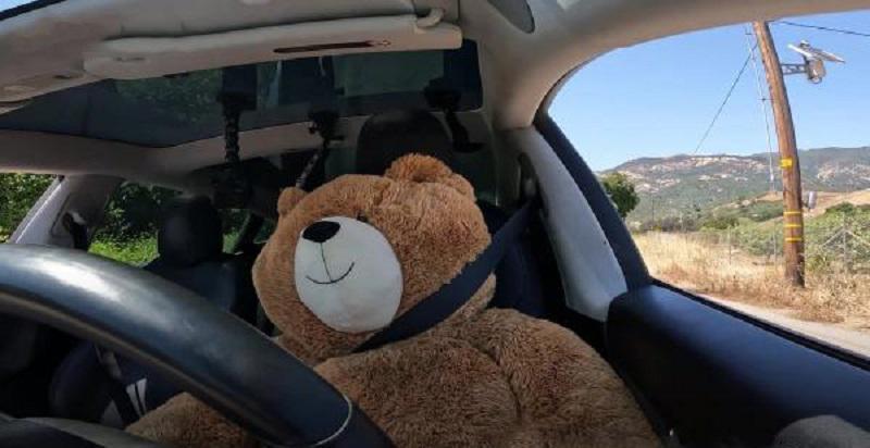 主驾坐着玩具熊,也能正常开?特斯拉FSD被曝缺陷!