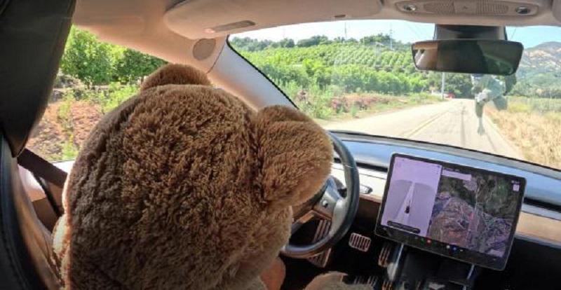 主驾坐着玩具熊,也能正常开?特斯拉FSD被曝缺陷!