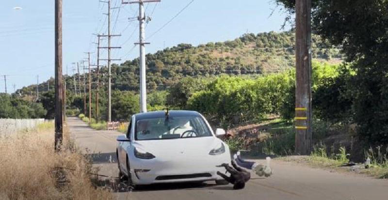 主驾坐着玩具熊,也能正常开?特斯拉FSD被曝缺陷!