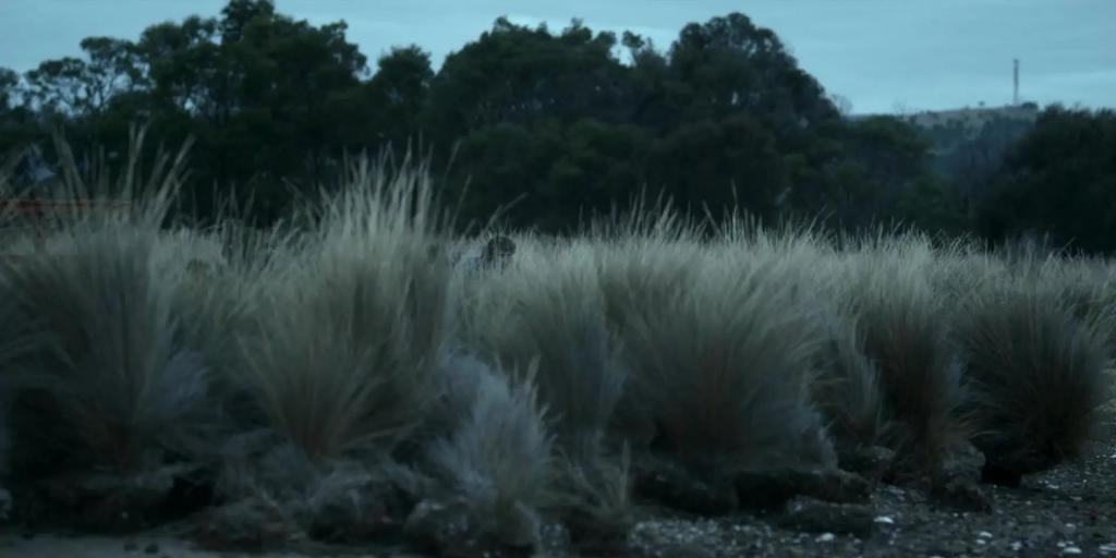 从豆瓣3.3到9.2，这次她彻底翻身