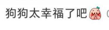 宋慧乔与朋友相聚：抱爱犬笑容温柔，嘟嘴玩自拍