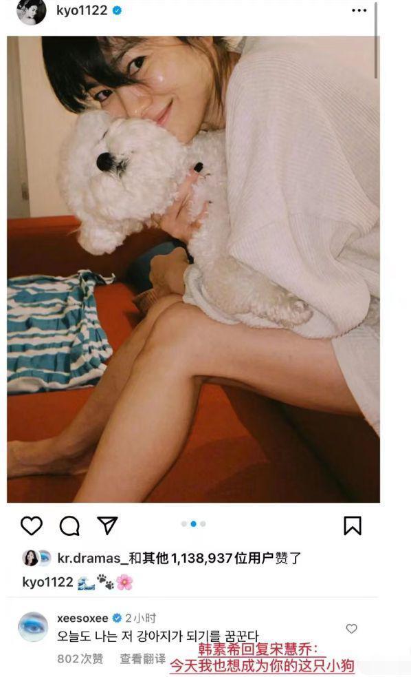 宋慧乔与朋友相聚：抱爱犬笑容温柔，嘟嘴玩自拍