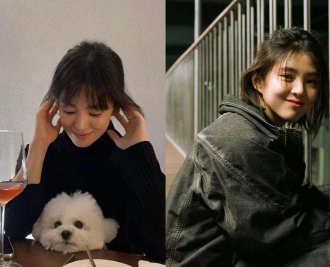 宋慧乔与朋友相聚：抱爱犬笑容温柔，嘟嘴玩自拍