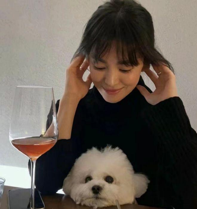 宋慧乔与朋友相聚：抱爱犬笑容温柔，嘟嘴玩自拍