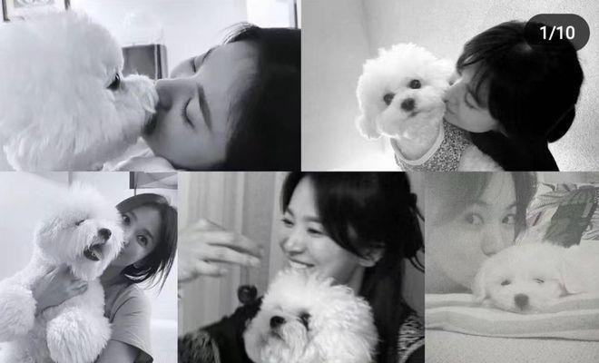 宋慧乔与朋友相聚：抱爱犬笑容温柔，嘟嘴玩自拍