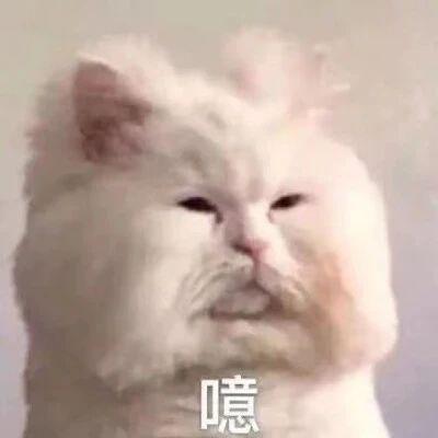 是谁在替内娱孩子审判“消失”的母爱？
