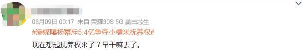 是谁在替内娱孩子审判“消失”的母爱？