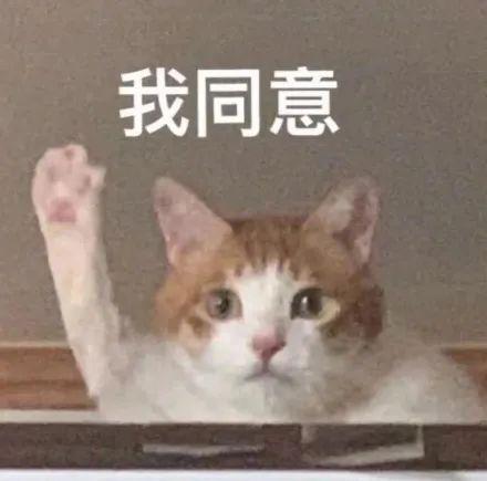 内娱终于出现活人了！