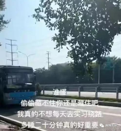 占用马路骂粉丝还说“算了”，高贵个什么劲啊