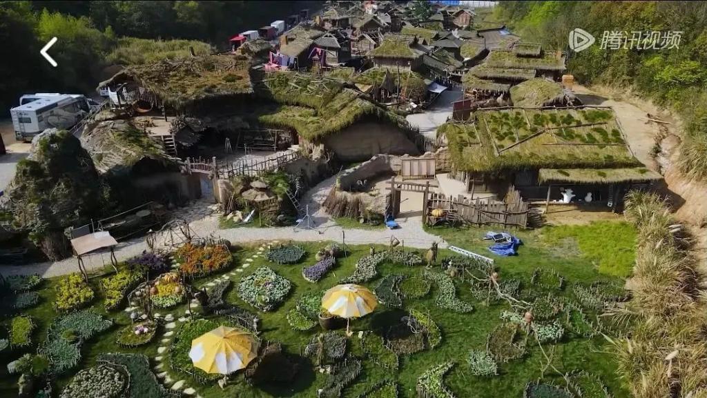 杨紫真被他们虐的这么惨吗？