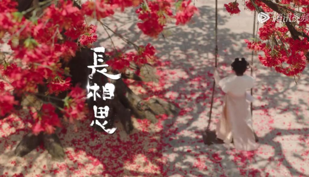 杨紫真被他们虐的这么惨吗？