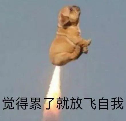 这对也快离了吧？
