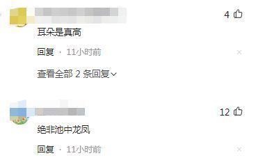 梁洛施罕晒婚宴照，长子五官似李嘉诚，身侧男伴打码引猜测