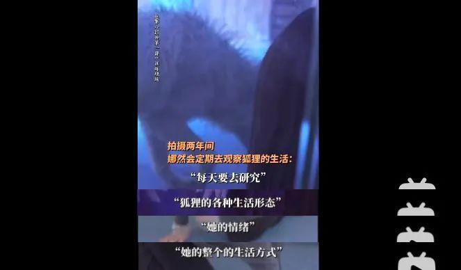 不愧是万里挑一哈…