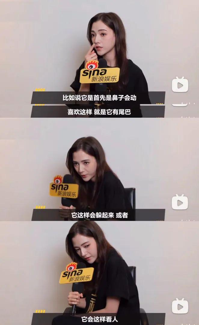 不愧是万里挑一哈…