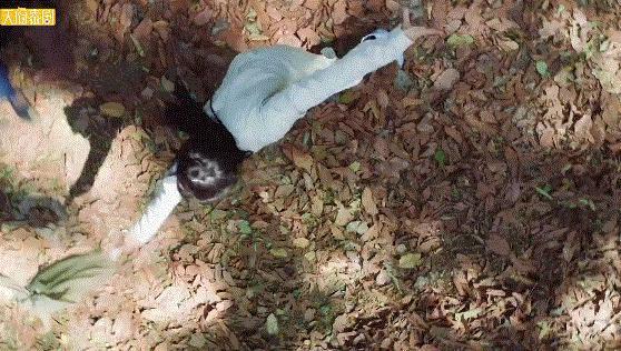 太辣眼了，这剧是纯卖肉啊