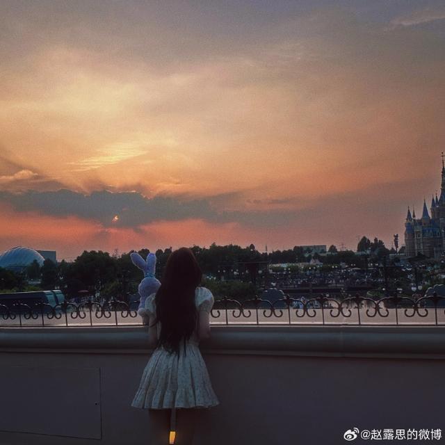 赵露思晒迪士尼游玩背影照，穿碎花裙手拿星黛露甜美可人
