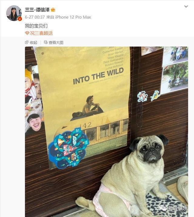 被骂上热搜，连她也能塌房？