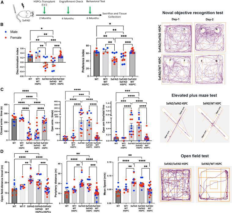 新研究表明移植造血干细胞，可“逆转”阿尔茨海默氏症