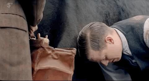 9.4涨到9.5，年度剧王！