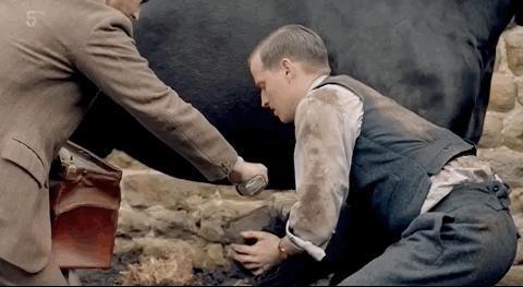 9.4涨到9.5，年度剧王！