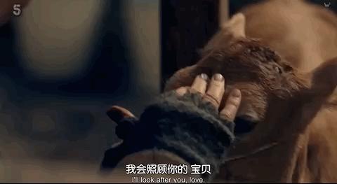 9.4涨到9.5，年度剧王！