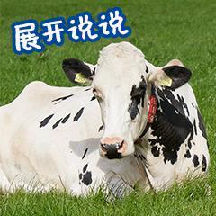 9.4涨到9.5，年度剧王！