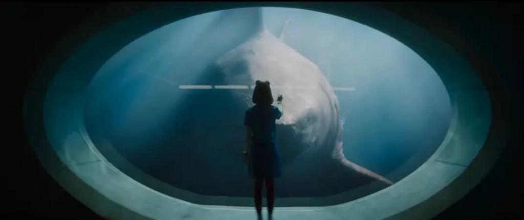 受不了，太烂了啊！！！