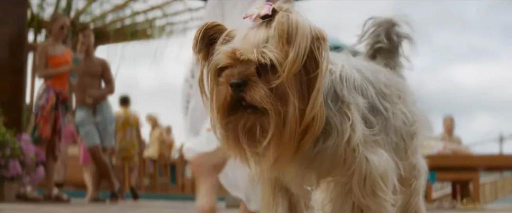 受不了，太烂了啊！！！